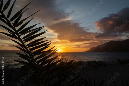 Palm tree. Amazing sunset seascape. Brela Croatia  Makarska riviera