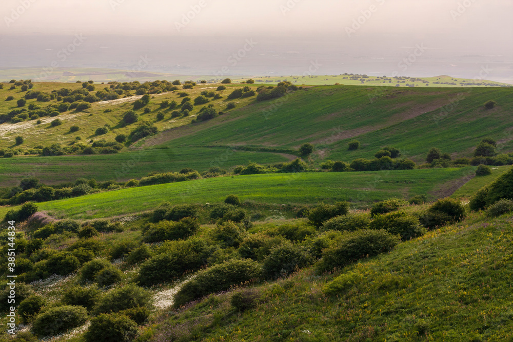 Landscape to beautiful green hills with bushes and trees on a sunny day in Northern Iran