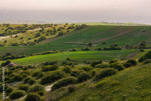 Landscape to beautiful green hills with bushes and trees on a sunny day in Northern Iran