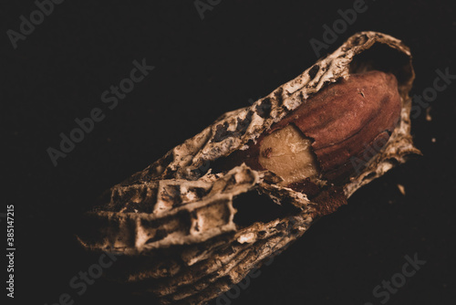 Organic Peanuts macro close up