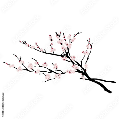 Plum tree with hand-painted flowersNo4