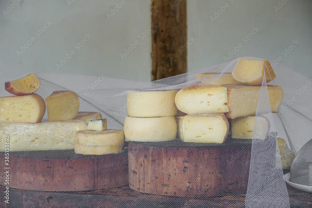 Variety of traditional cheese in a cheese farm store, dry aged cheeses