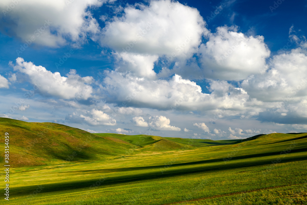 Obraz premium The summer Huunbuir grassland landscape of Inner Mongolian of China.