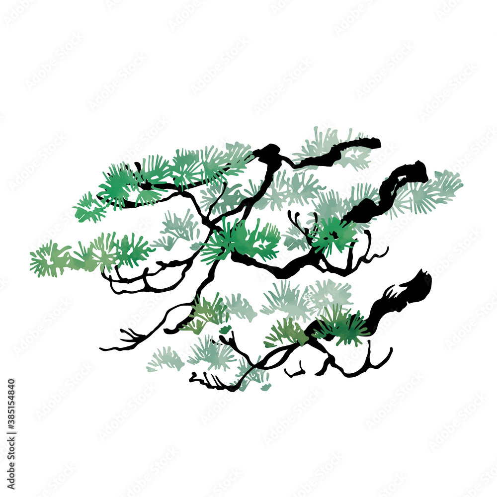 Fototapeta premium Hand-painted pine tree illustrationNo.13