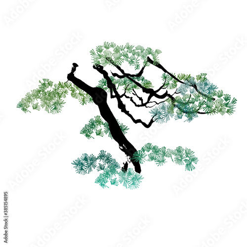 Hand-painted pine tree illustrationNo.10