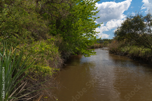  coast with a lot of vegetation in a natural park