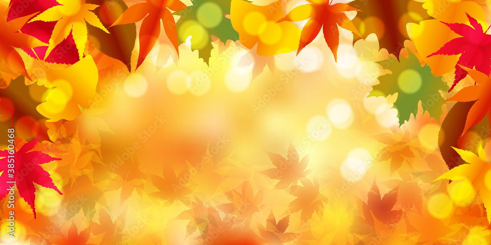 紅葉 もみじ 秋 背景 紅葉 もみじ 秋 背景