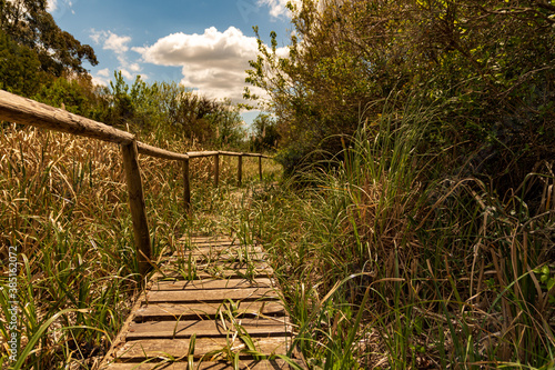  beautiful natural park in Montevideo with lots of native vegetation for walks and recreation