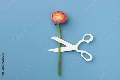 Scissors Cutting A Flower Stem photo