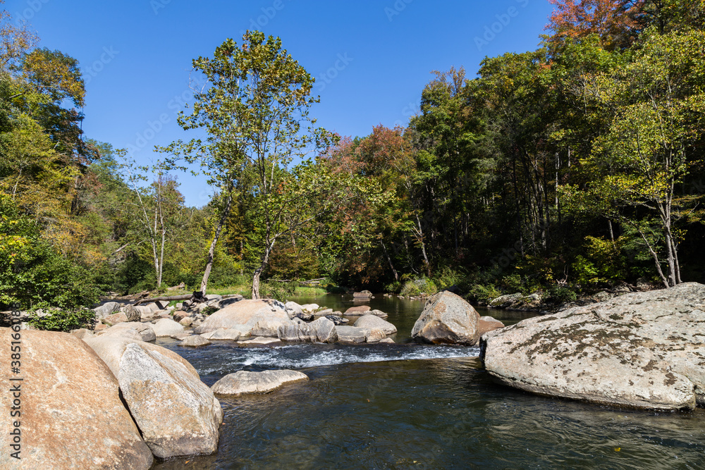 River in the forest, , Elk River Falls, NC River in the forest, , Elk River Falls, NC