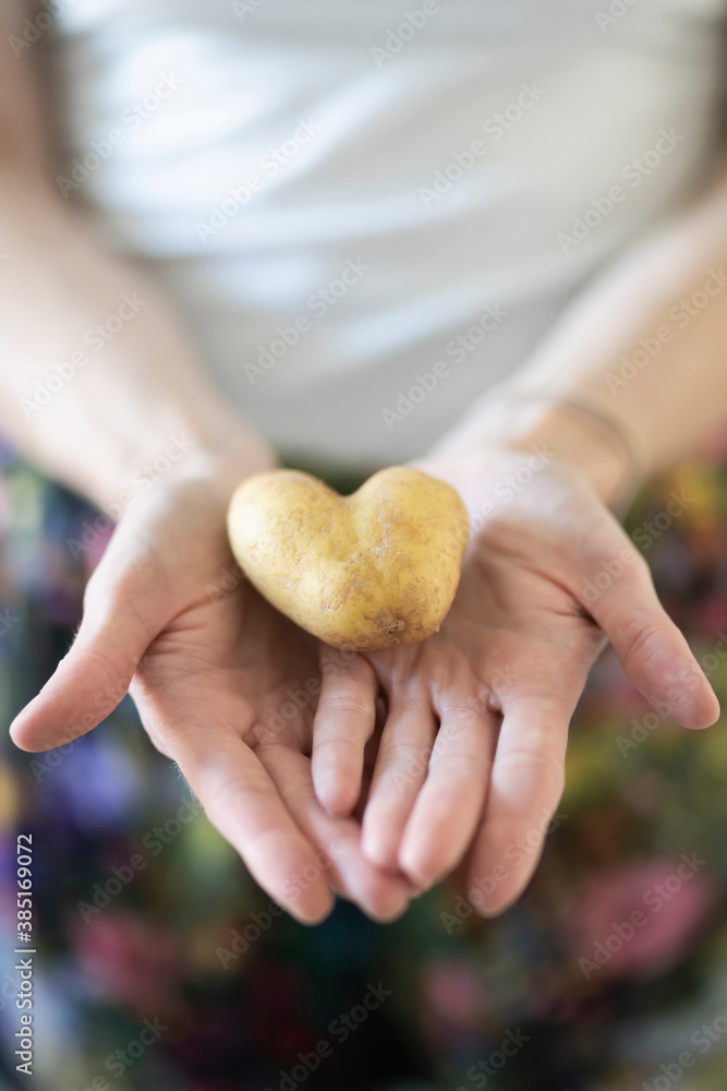 Woman's hands holding heartshaped potato