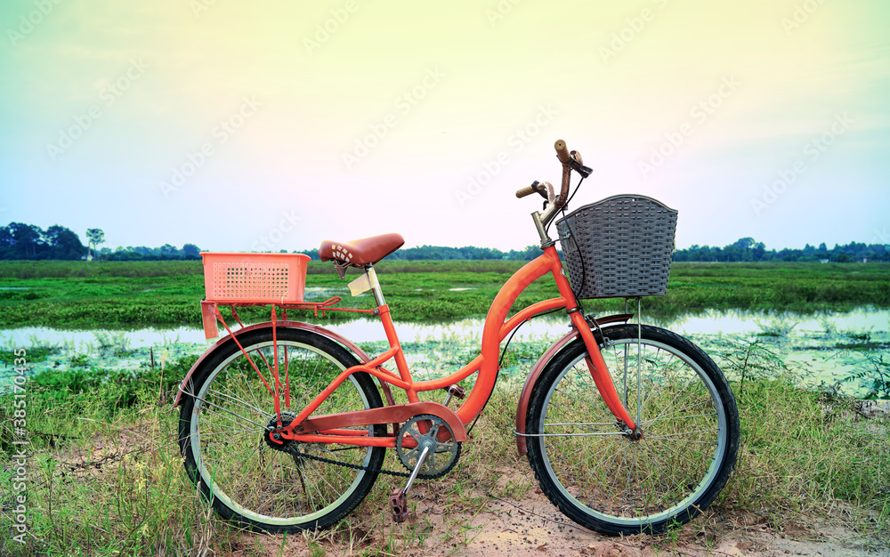 Obraz premium An orange retro-style bicycle with a basket for luggage, parked by the river as the sun shines through the concept of exercise and leisure with leisure activities on the weekend.