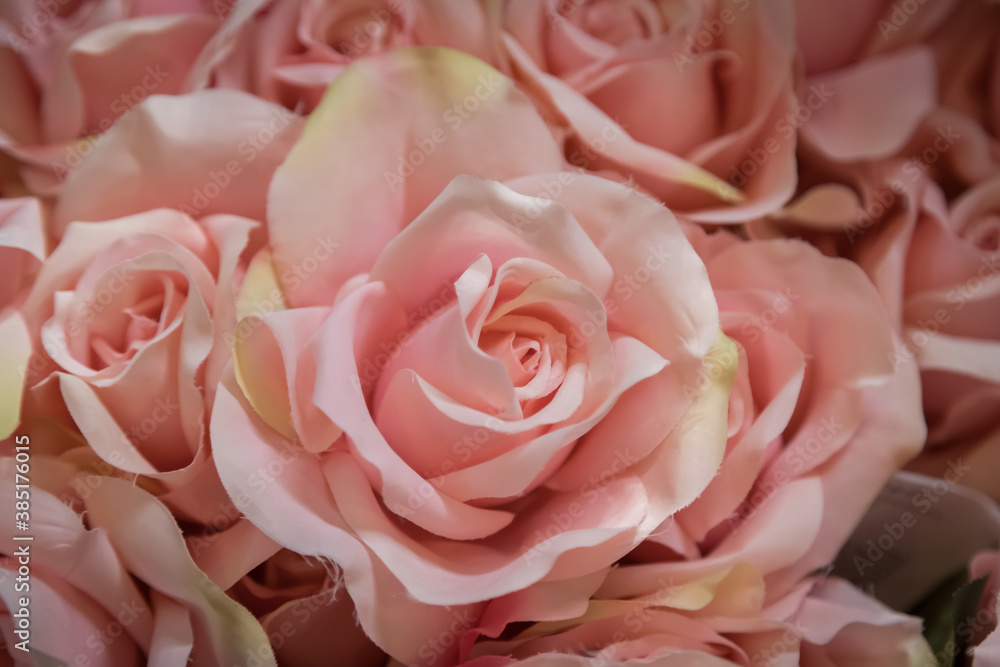 Plastic pink rose use for background Plastic pink rose use for background