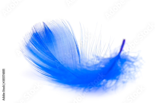 Blue feathers texture on white background