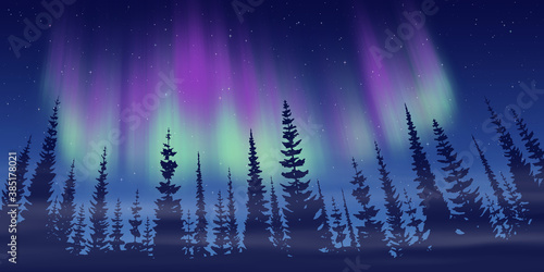 Fantasy on the theme of the northern landscape. Dusk and polar lights. Vector illustration, EPS10