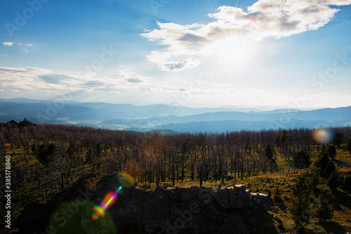 Landscape with dead forest ...