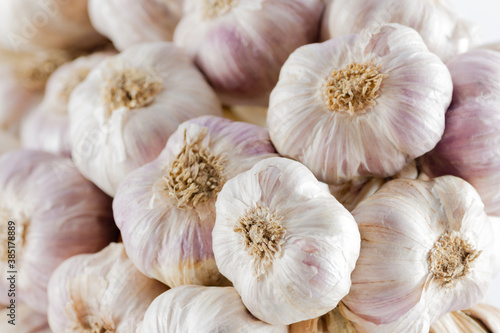 White garlic head heap. top view.