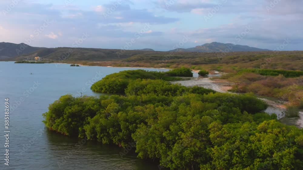 Aerial flight with drone over mangrove trees at Sabana Buey. Dominican republic Aerial flight with drone over mangrove trees at Sabana Buey. Dominican republic