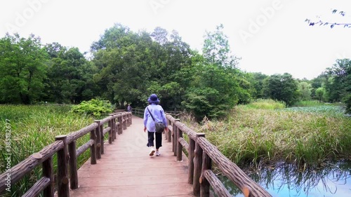 A Japanese lady walks across a small bridge in Tokyo's Shakujii Park on a summer evening. Slow motion. photo