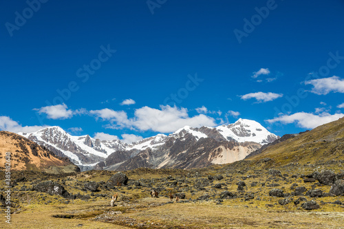 Nevados y montañas andinas con cielo azul 