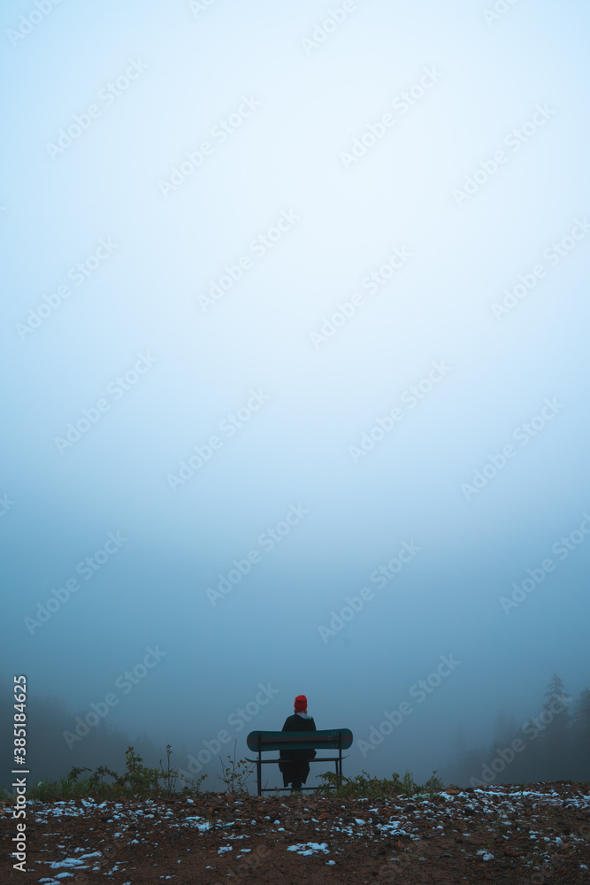 Silhouette on the background of forest fog Silhouette on the background of forest fog