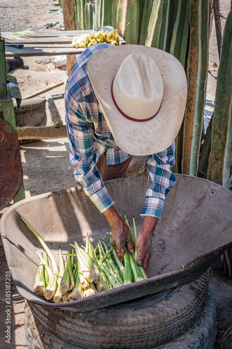 Hombre campesino trabajador photo