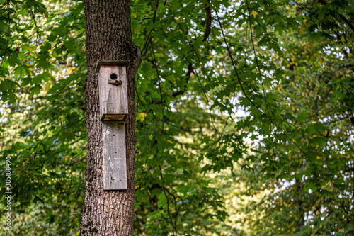 Wooden birdhouse mounted high on the tree. nesting box hanging on a tree in the daytime.