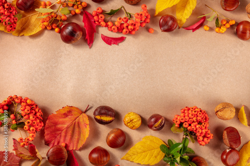 Fototapeta Naklejka Na Ścianę i Meble -  Autumn background with autumn leaves, chestnuts and berries, an overhead flat lay shot with a place for text on a brown background