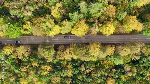 Following a car driving through a beautiful autumn colored forest as a top shot from above by a drone photo