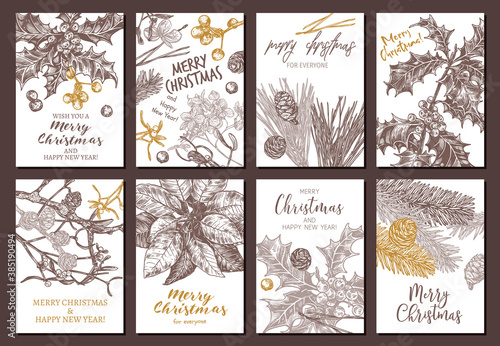 Collection of vector Christmas and New Year floral botanical greeting cards. Holiday banners or posters with festive plants hand drawn illustrations: fir, larch, spruce, poinsettia, holly berry