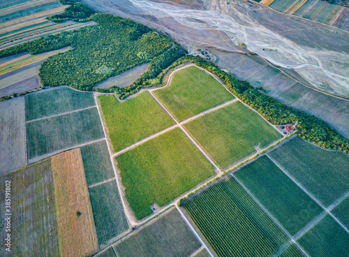 Aerial view over big vineyard in Panciu wine region, Romania

