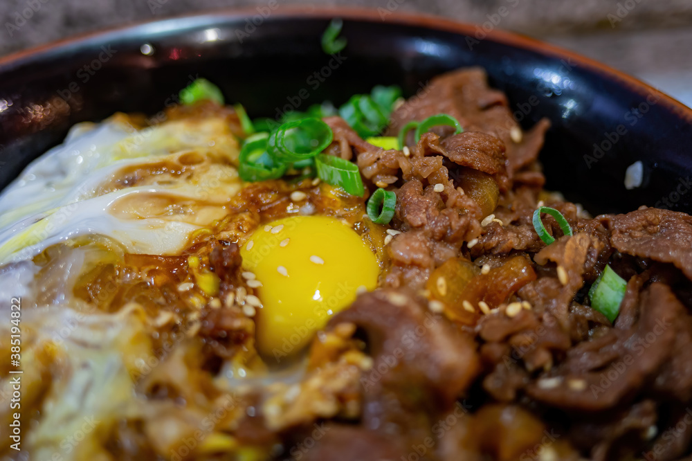 Close up shot of Beef donburi Close up shot of Beef donburi