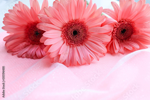 romantic composition of pink flowers on a pink background