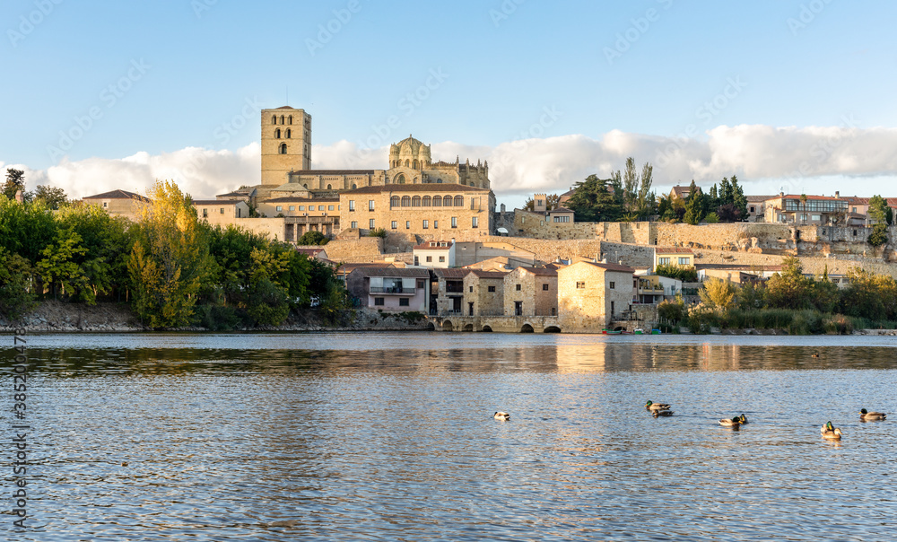 Obraz premium view over the river douro in Zamora, spain