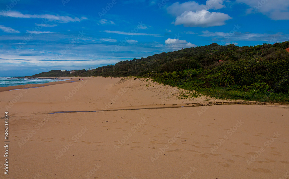 Wide Stretch of Beach Leading up to Vegetation Covered Dunes