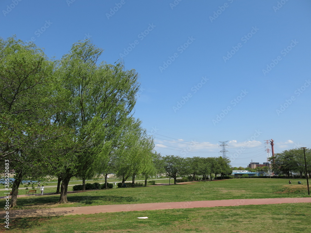 新緑が美しい柏市の柏ふるさと公園（芝生広場）