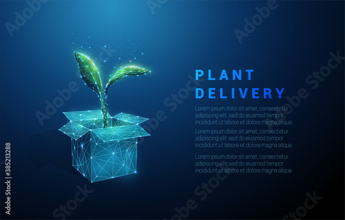 Abstract low poly open box and green plant
