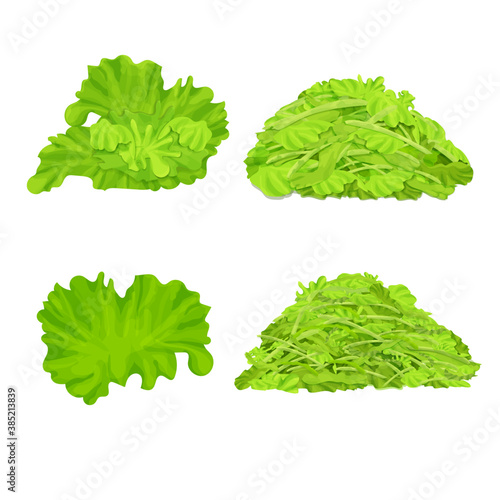 Set of different lettuce isolated on white background. Leaves, shredded salad pile, stack. Realistic, detailed, colorful composition collection. Vector illustration