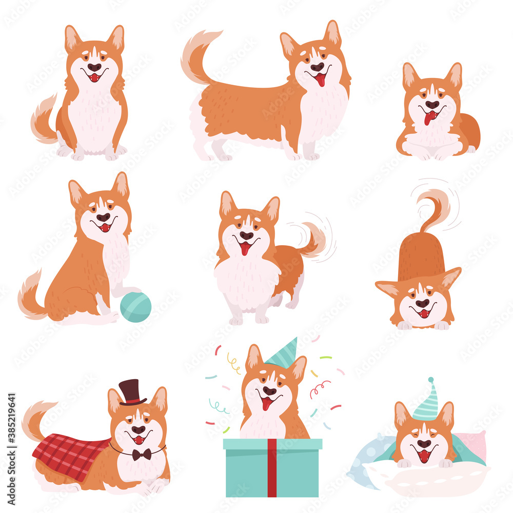 Welsh Corgi with Short Legs and Brown Coat in Different Poses Vector Set Welsh Corgi with Short Legs and Brown Coat in Different Poses Vector Set