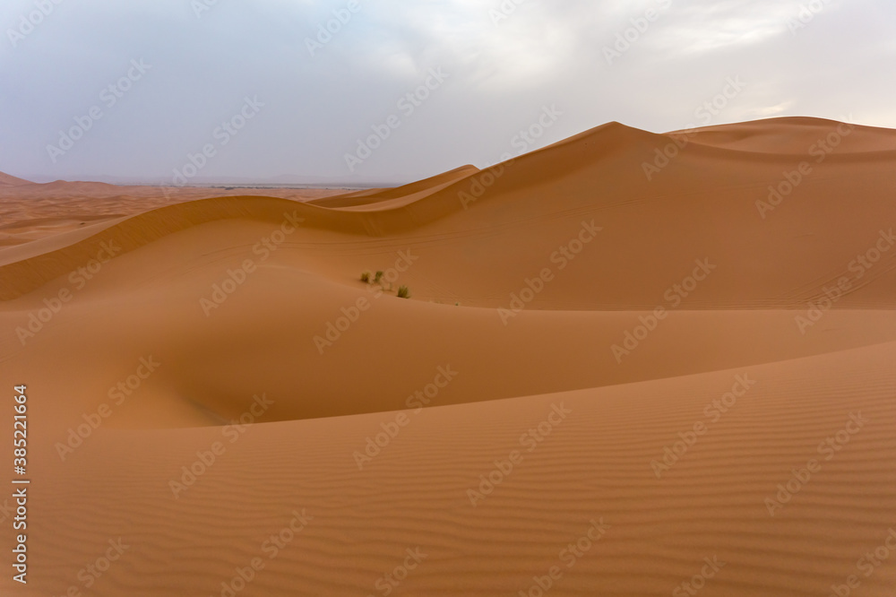 Desert sand dune in Morocco