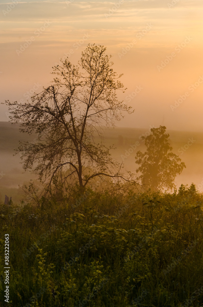 morning fog over the lake. Sunlight through the forest morning fog over the lake. Sunlight through the forest