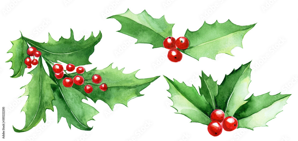 watercolor set, collection of Christmas holly leaves. green leaves and red holly berries isolated on white background, christmas clipart. winter decoration for postcards, wrapping paper watercolor set, collection of Christmas holly leaves. green leaves and red holly berries isolated on white background, christmas clipart. winter decoration for postcards, wrapping paper