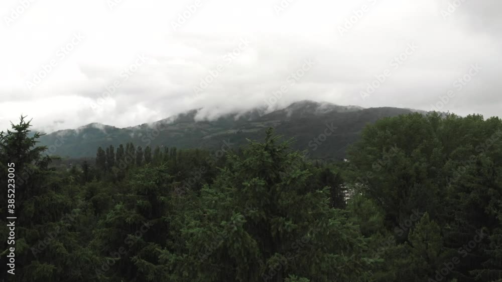 drone dans une forêt avec brouillard drone dans une forêt avec brouillard