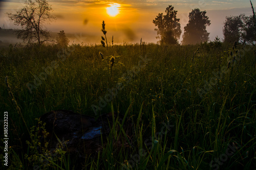 morning fog over the lake. Sunlight through the forest