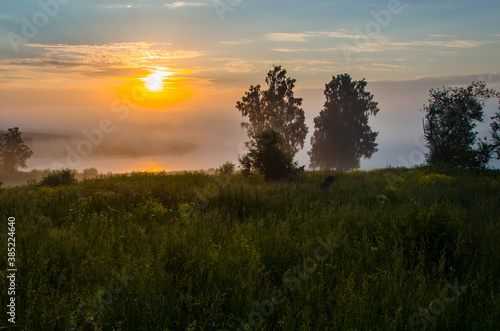 morning fog over the lake. Sunlight through the forest © efimenkoalex
