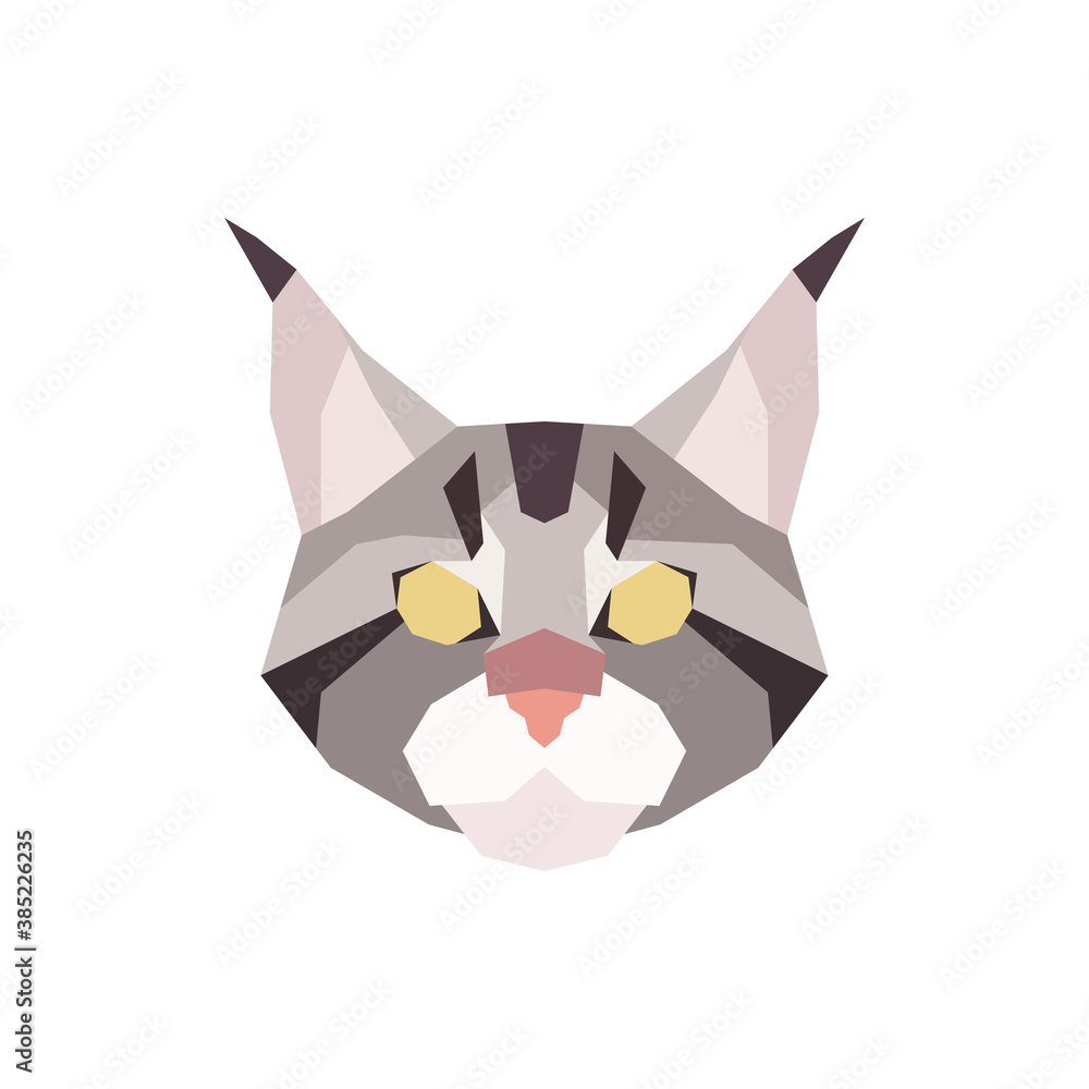 Fototapeta premium Low poly Maine Coon head. Vector illustration