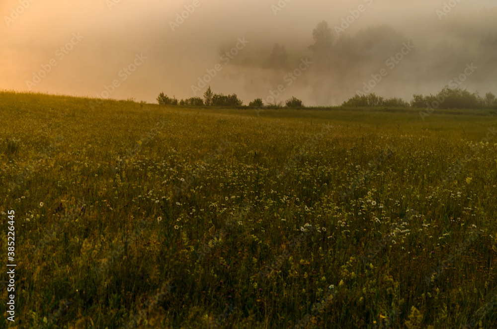Obraz premium morning fog over the lake. Sunlight through the forest