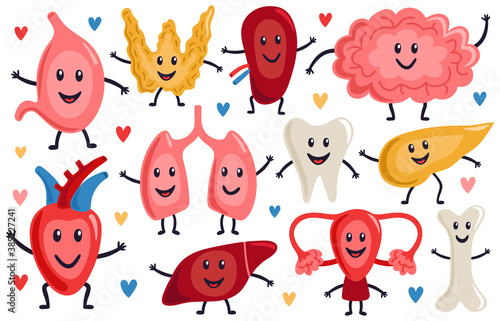 Cute internal organs. Healthy funny heart, stomach, lungs and brain, medicine human organs characters, biological organ vector illustration set. Healthy strong organs with happy faces