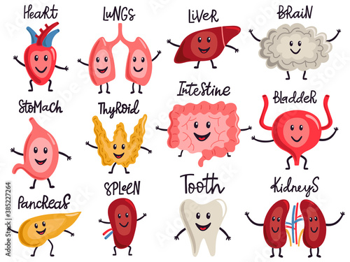 Healthy body organs. Internal human organs characters, biology medicine healthy lungs, liver, bladder, kidneys and heart vector illustration set. Human anatomy or physiology, treatment