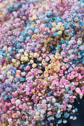 Flower composition. Macro photo. Wedding decor. A Beautiful bouquet of fresh spring flowers. © Liudmyla